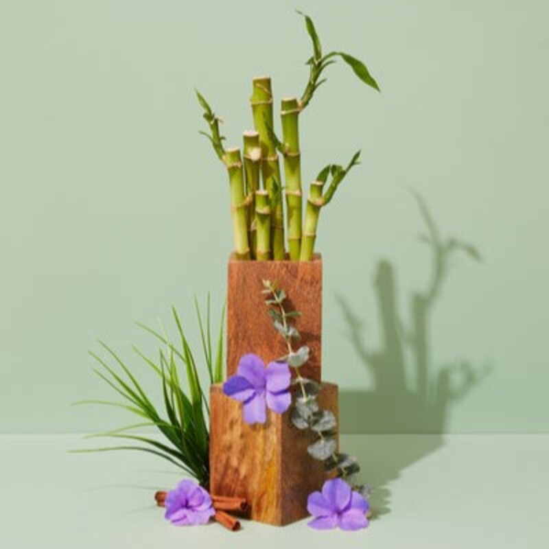 Makesy Зеленый бамбук и дикая фиалка – Green Bamboo and Wild Violet