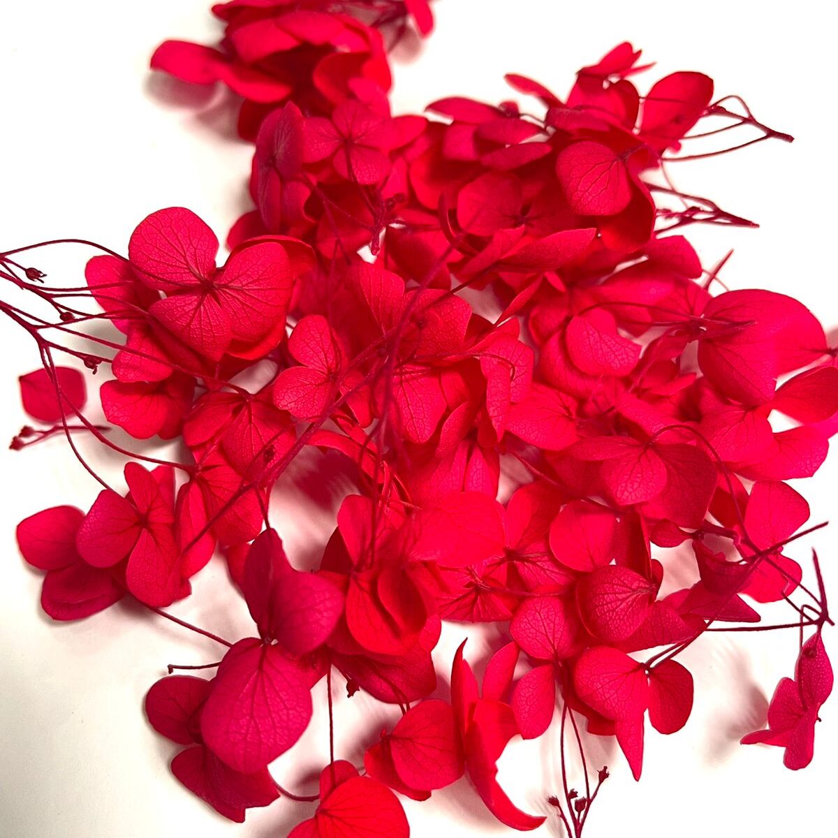 The Wick Сухоцветы – Стабилизированная Гортензия – красный