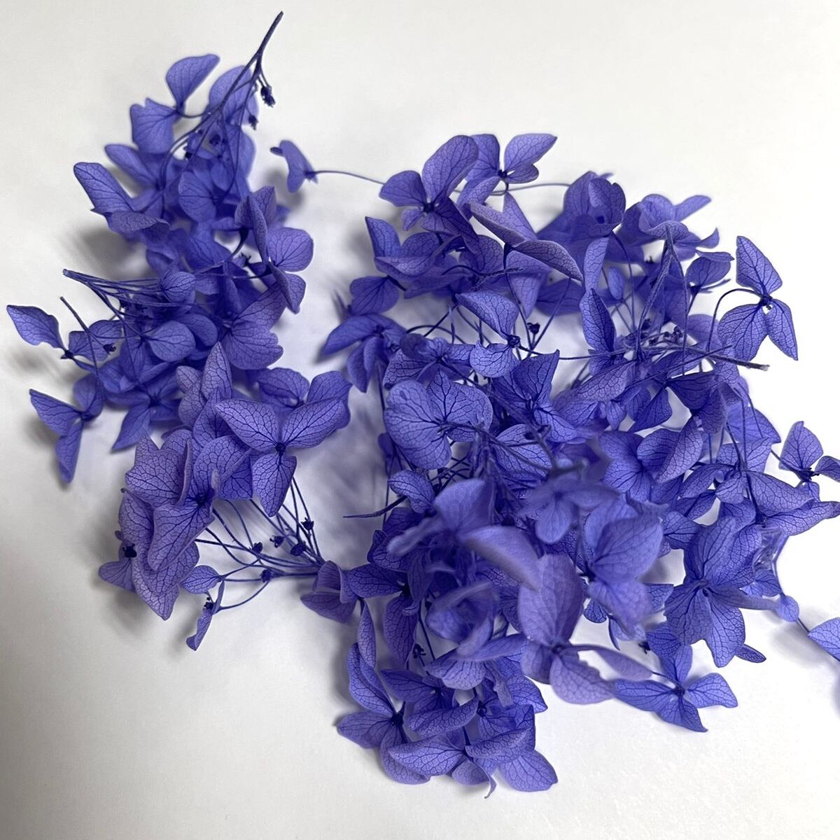 The Wick Сухоцветы – Стабилизированная Гортензия – фиолетовый