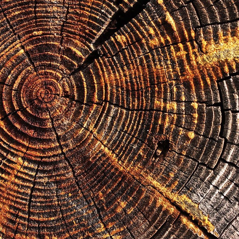 The Wick Древесина – Wood