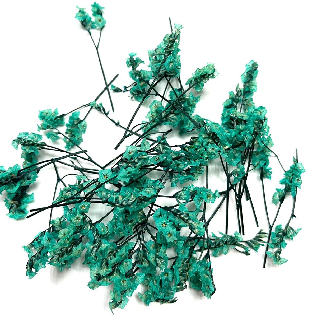 The Wick Сухоцветы – Кермек – изумрудно-зеленый