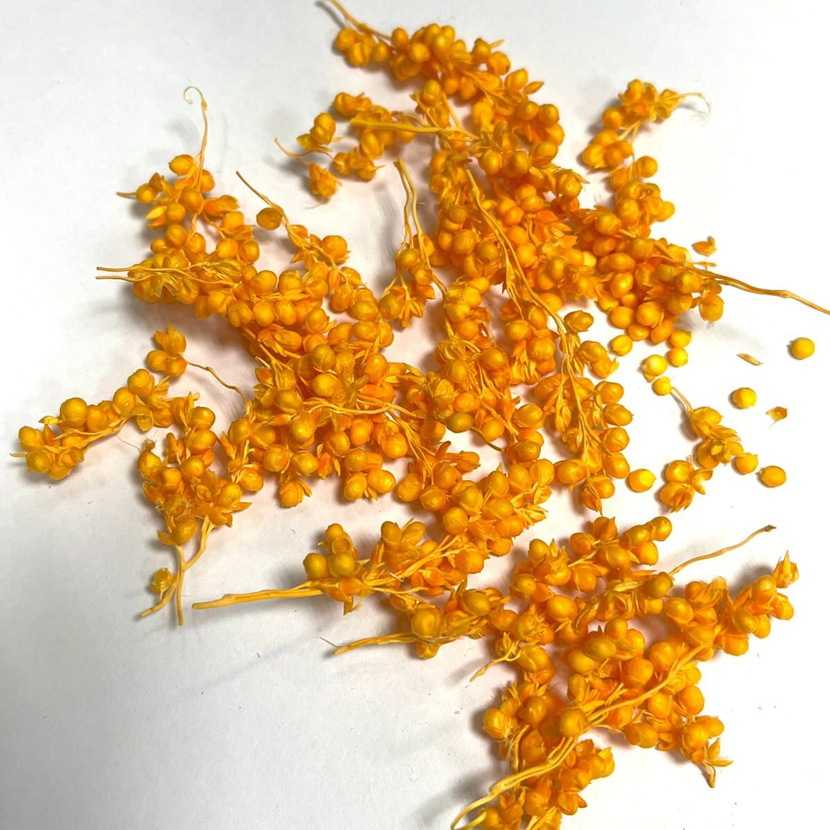The Wick Сухоцветы – Сорго – оранжевый