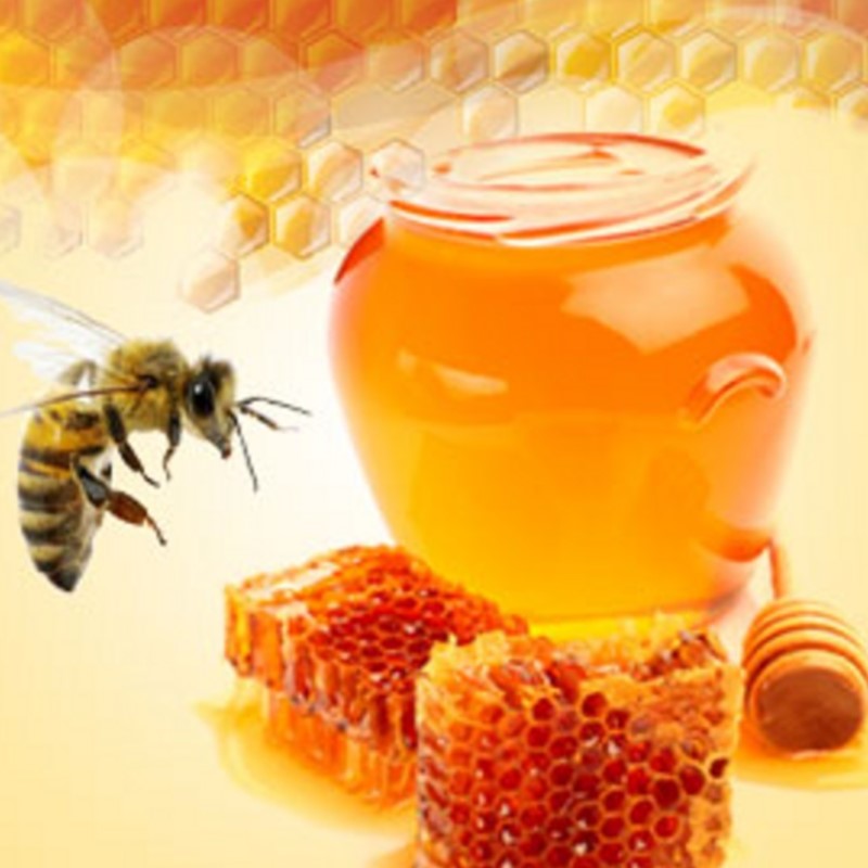 NG Пчелиное молочко и мёд – Nature’s Garden (USA) Baby Bee Buttermilk