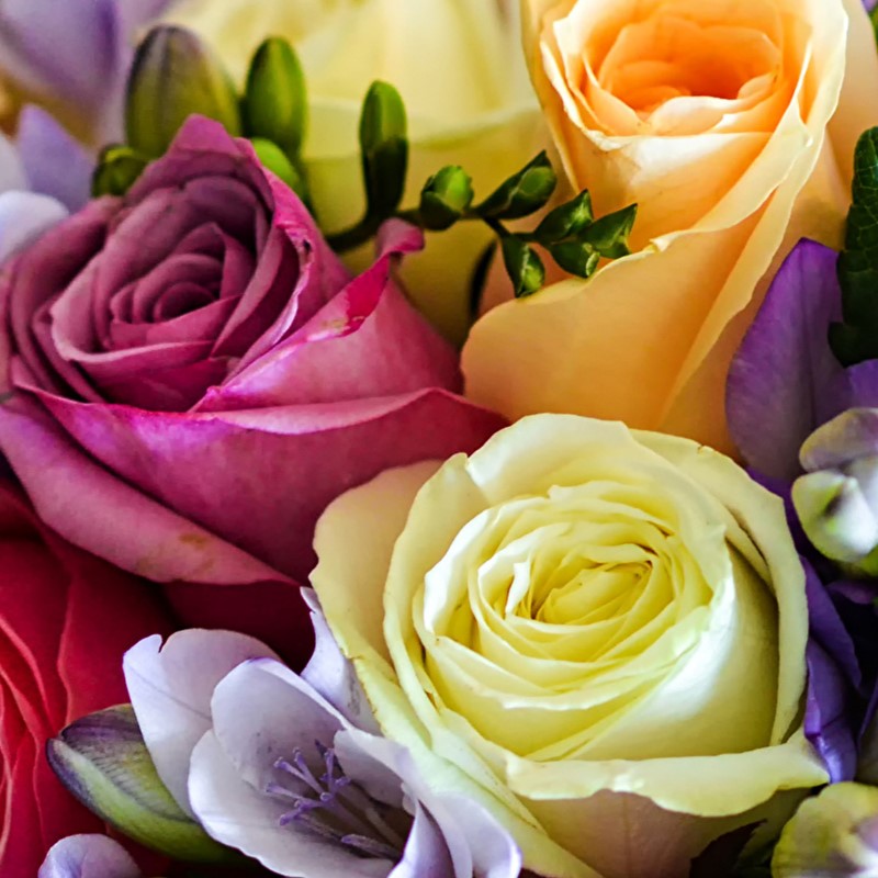 Givaudan – Роза, фрезия, утренняя роса – Larmes de Rose – реплика Especially by Escada