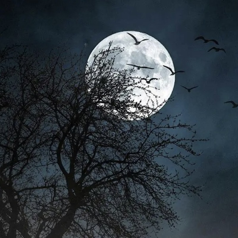 Givaudan – Вечеринка в полнолуние – Full Moon Party – реплика Tresor Midnight Rose Elixir D’Orient by Lancome