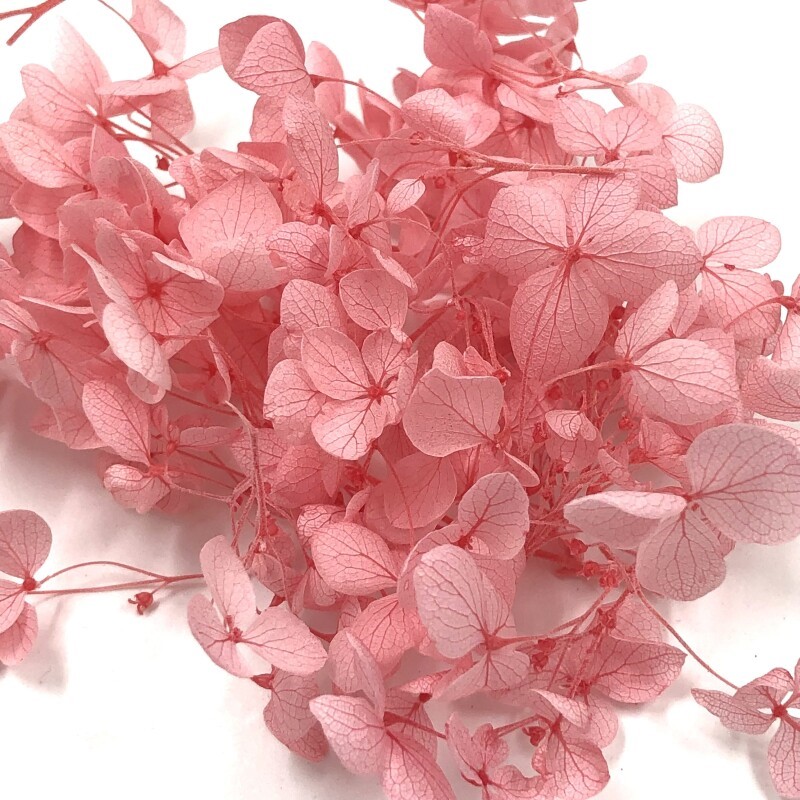 The Wick Сухоцветы – Стабилизированная Гортензия – розовый