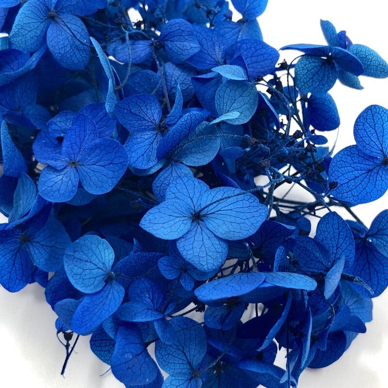 The Wick Сухоцветы – Стабилизированная Гортензия – синий