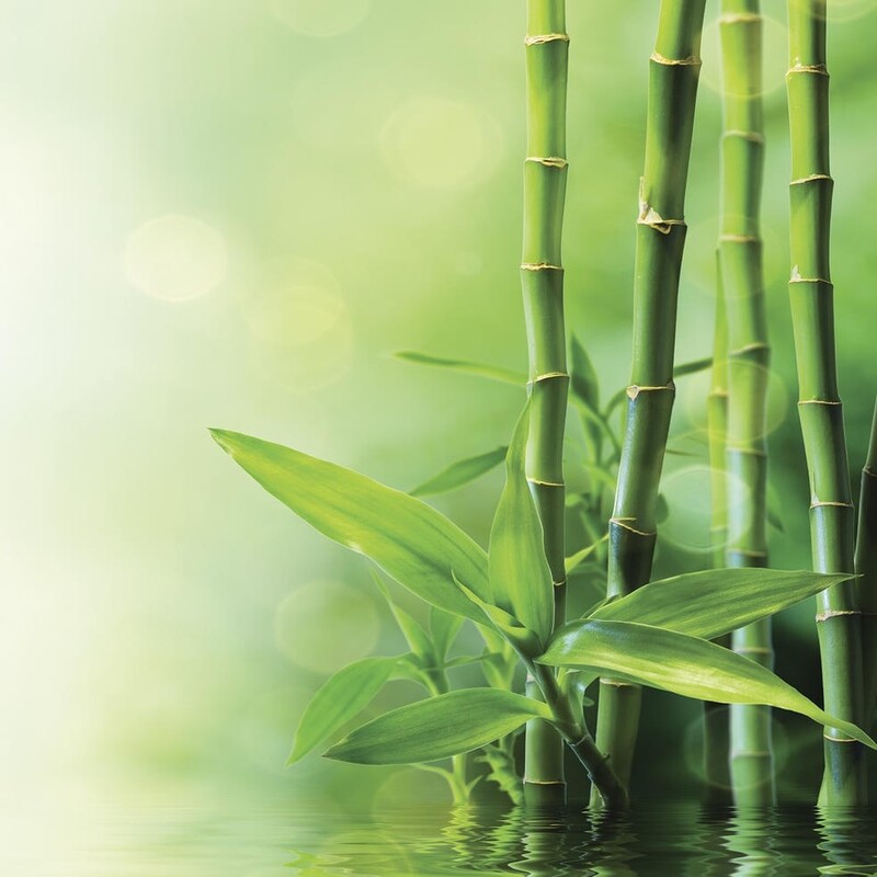 The Wick Нежный бамбук – Bamboo Cream